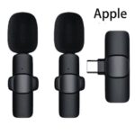 Mini Mic
