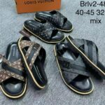 Brlv1-480