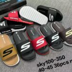 Sky100-350